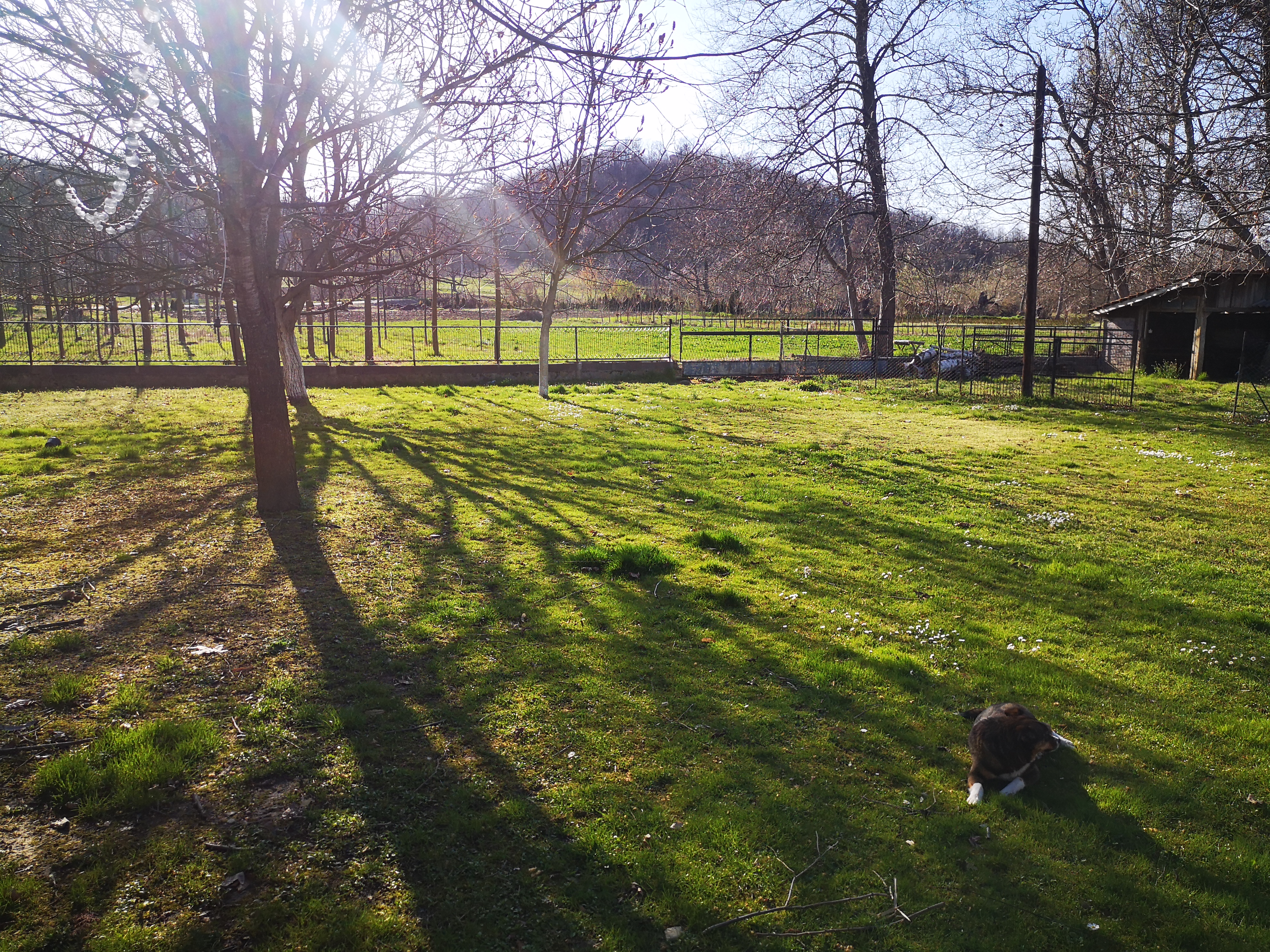 Cozy interior details